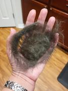 Pethroom Healing Brush Review