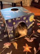 Cat Box Classics Furry Masterpieces Cat House with Scratcher Review