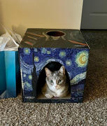 Cat Box Classics Furry Masterpieces Cat House with Scratcher Review