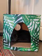 Cat Box Classics Kitty Jungle Cat House with Scratcher Review