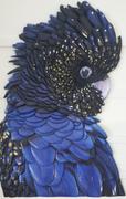 Print and Proper Black Cockatoo (indigo tones) - Art Print Review