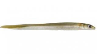 Hogy Lure Company Online Shop Protail: 7.5 Eel Teaser (6-Pack) - Olive Review