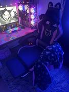 DOWINX GAMING CHAIR Dowinx Cute Cat Ear Gaming Chair Ergonomic, Comfortable, with Massage Lumbar Support, Footrest, and Headrest - Black, 290lbs Capacity Review