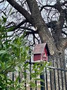 The Birdhouse Chick Barn Wood & Tin Rustic Birdhouses Review