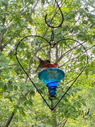 The Birdhouse Chick High-View Square Hummingbird Feeder Review