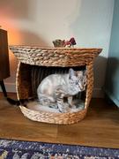 Natural Life Cat Bed Basket Table Review