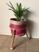 Natural Life Rattan Plant Stand Review