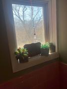 Natural Life Crystal Sun Catcher - Rainbow Review