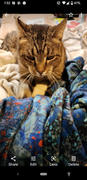 Natural Life Cozy Blanket Kimono - Denim Patchwork Review