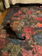 Natural Life Chenille Runner Rug, 2' x 8' - Bright Floral Review