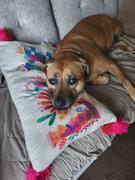 Natural Life Cozy Throw Pillow - Let Them Sleep Review