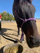 Medalist Feed 1500 lb super sack Sprout Pellets - Bulk Horse Feed - Complete Nutrition Review