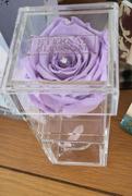 Eternal Blossom Individual Makeup & Storage Box - All Colours of Year Lasting Infinity Roses Review