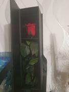 Eternal Blossom Personalised Individual Long Stem Rose - Year Lasting Infinity Roses Review