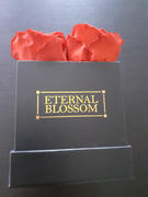 Eternal Blossom Full Diamantes Set Review