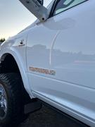 TSO Manufacturing Custom Text Emblems Review