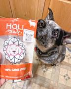 HOLI Beef Liver Dog Treats Review