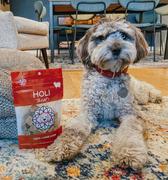 HOLI Lamb Liver Dog Treats Review