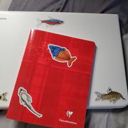 AQUAPROS 3 Pack Tropical Fish Stickers Review