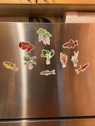 AQUAPROS 5 Pack Nano Fish Stickers/Magnets/Clings Review