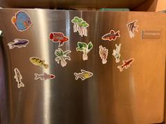 AQUAPROS 5 Pack Amazon Fish Stickers/Magnets/Clings Review