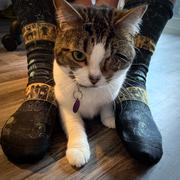 Lunafide Book of the Dead Socks Review