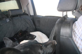 Examen de la housse de siège arrière pour chien 4Knines® avec hamac