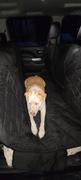 4Knines® Dog Rear Seat Cover with Hammock Review