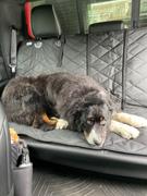 Housse de siège arrière pour chien 4Knines® - Pas d'examen de hamac