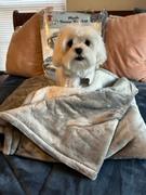 4Knines® Waterproof Plush Dog Blanket Review