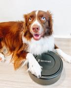 4Knines® Stainless Steel Dog Bowl Review