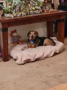 4Knines® Dog Bed Slip Cover Review