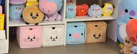 LINE FRIENDS COLLECTION STORE BT21 RJ BABY PLUSHY BOX Review