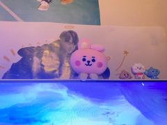 LINE FRIENDS COLLECTION STORE BT21 COOKY BABY PEEKABOO MONITOR DOLL Review