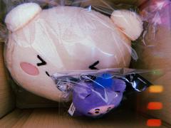 LINE FRIENDS COLLECTION STORE TRUZ RURU FACE CUSHION Review