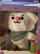 LINE FRIENDS COLLECTION STORE BT21 BABY RJ STANDING DOLL HOLIDAY EDITION Review