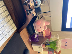 LINE FRIENDS COLLECTION STORE BT21 COOKY minini SQUEEZE BALL Review
