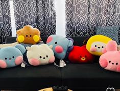 LINE FRIENDS COLLECTION STORE BT21 TATA minini BIG HEAD CUSHION Review