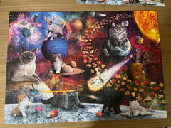 Puzzledly Galaxy Cats | 1,000 Piece Jigsaw Puzzle Review