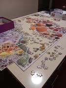 Puzzledly Rainbow Seashells | 2,000 Piece Jigsaw Puzzle Review