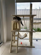 Pet Wizard 141cm Cat Scratching Post - Beige Review