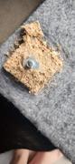 Pet Wizard 124cm Cat Scratching Post - Grey Review