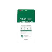 Dodoskin SOME BY MI Clear Spot Patch 18ea Review