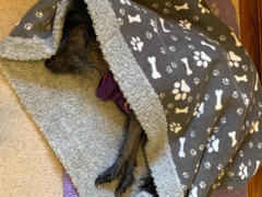 Ruffle Snuffle Snuggle Sacks / Burrow Bag / Sofa Sack - LOTS OF FABRICS Review