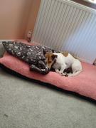Ruffle Snuffle Snuggle Sacks / Burrow Bag / Sofa Sack - LOTS OF FABRICS Review