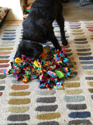 Ruffle Snuffle Ruffle Snuffle Ziggy Review