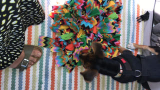 Ruffle Snuffle Ruffle Snuffle Ziggy Review