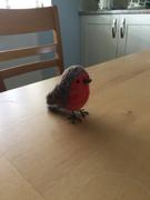 MillyRose Crafts Robins Needle Felting Kit  - makes two robins, suitable for beginners Review