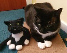 MillyRose Crafts MillyRose Crafts Spud The Longhaired Tuxedo Cat Needle Felting Kit Review