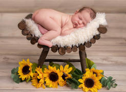 Newborn Studio Props Curved Rustic Bench Review